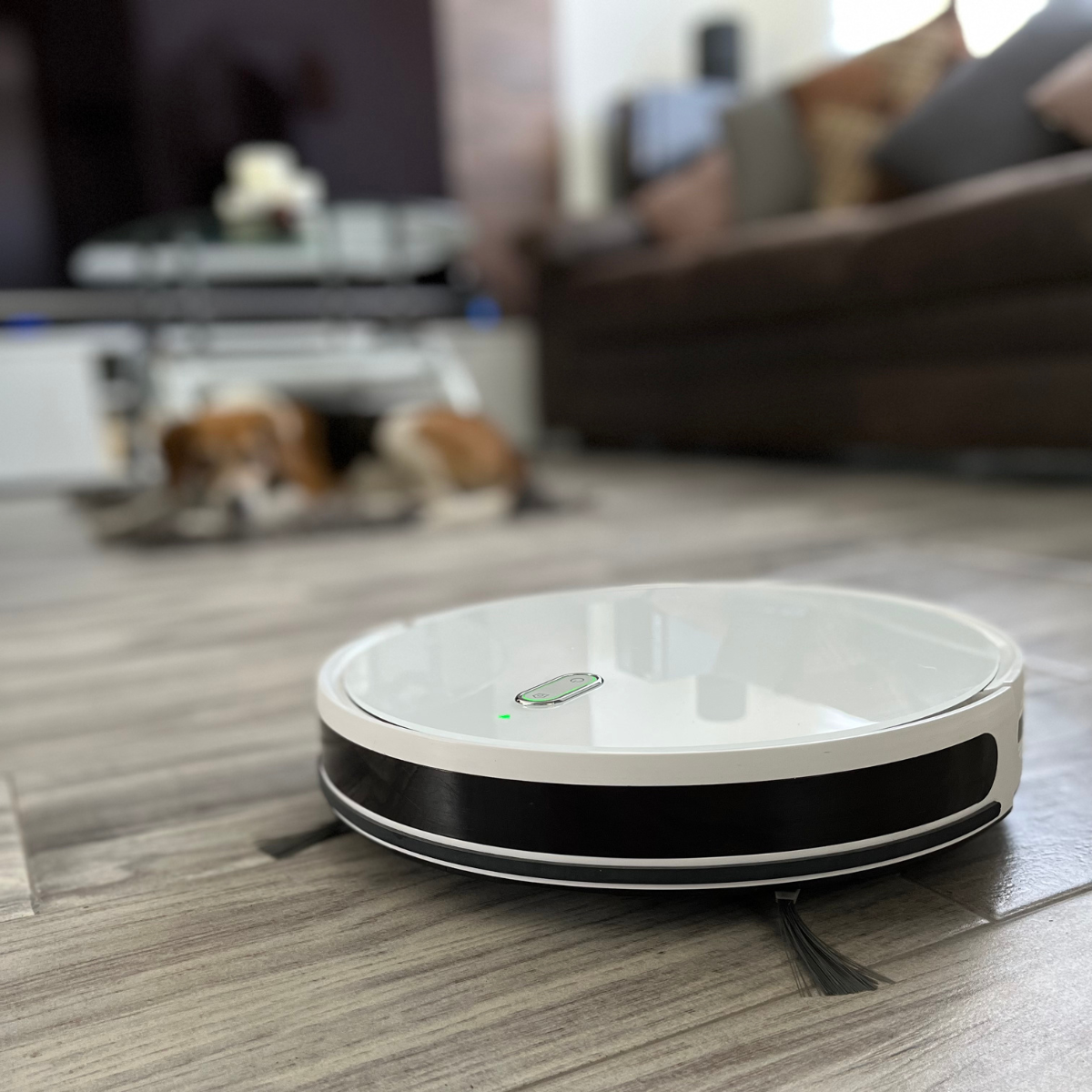 Robot Vacuum and Mop GAMMA WHITE DE R-901